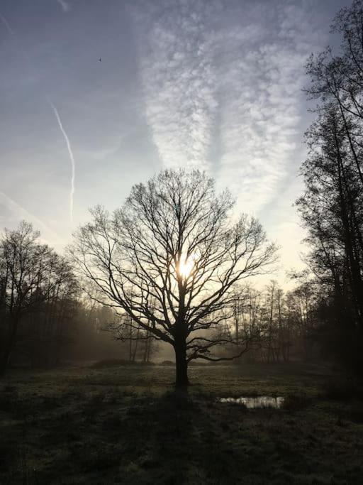 Gite D'Etape Du Tilleul, 4-8 Personnes La Celle-les-Bordes ภายนอก รูปภาพ